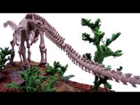 Brachiosaurus oder auch einfach Langhals Skelett