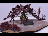 Stegosaurus Skelett