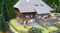 1 Mein Schwarzwaldhaus